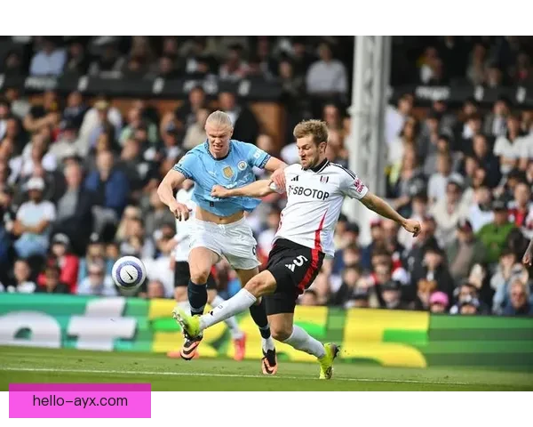 富勒姆俱乐部百年征程与英超逐梦传奇故事全景回顾与未来展望