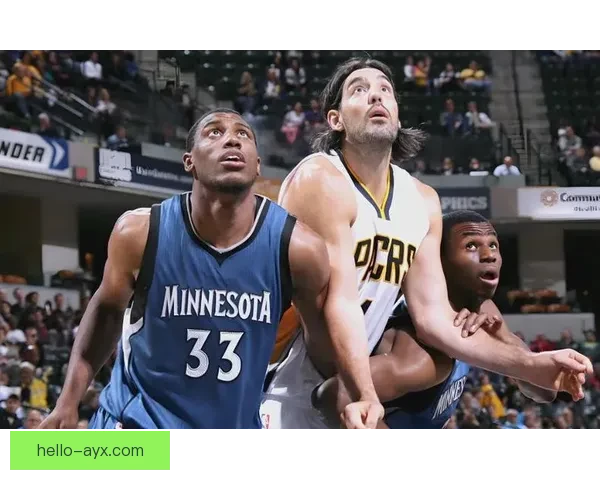 森林狼俱乐部重塑辉煌之路：从重建到挑战季后赛的坚实步伐