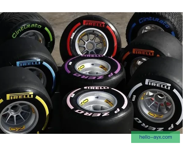 F1赛季最新动态揭晓各车队策略与车手表现解析