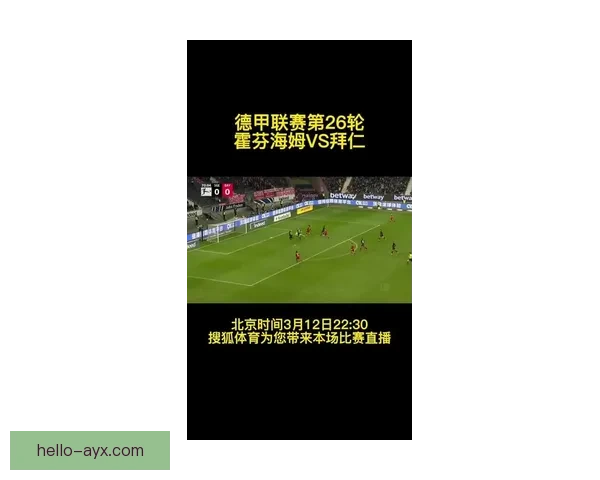 霍芬海姆1899俱乐部发布最新转会动态与赛季目标，迎接新挑战